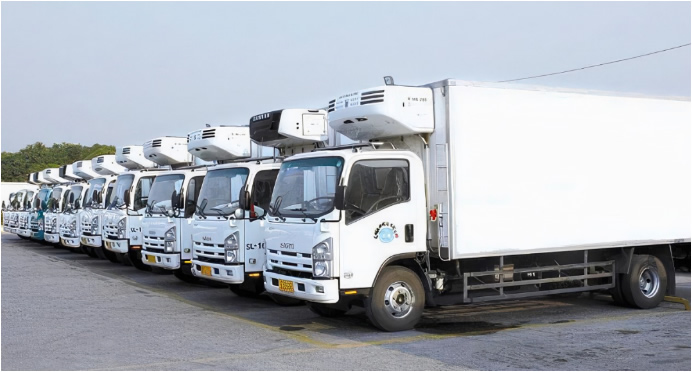 רҵ��������