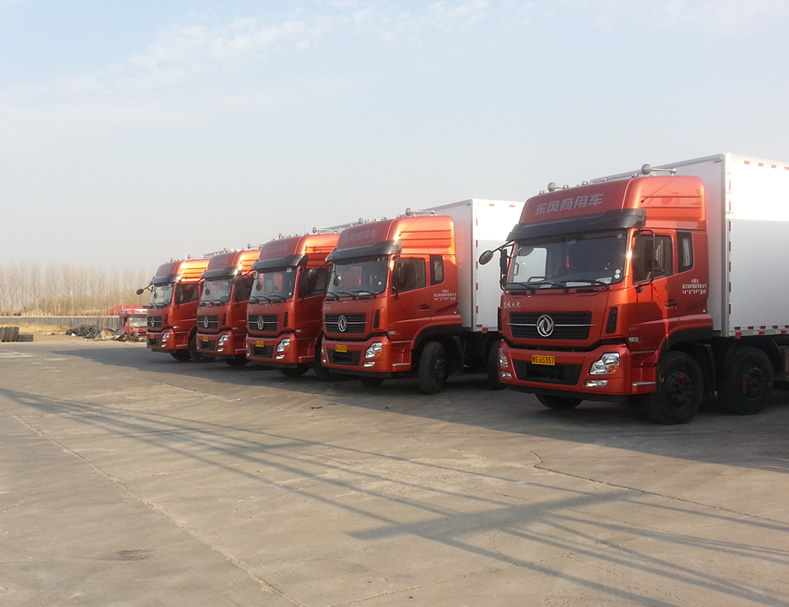 ����������˾�����˹������������